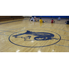 DuraSeal / Fabulon Sport Surface Finishing<BR><BR>