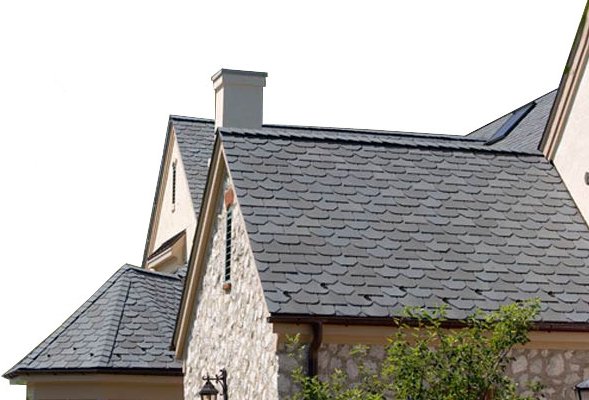 EcoStar Snow Guards