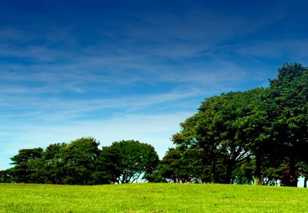 Solatube International, Inc. Going Green<BR><BR>