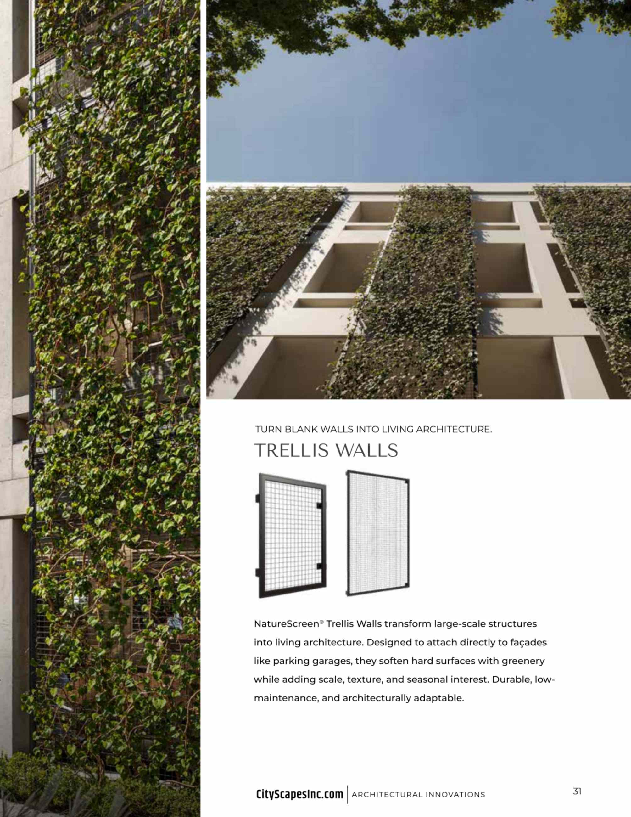 Catalog page image