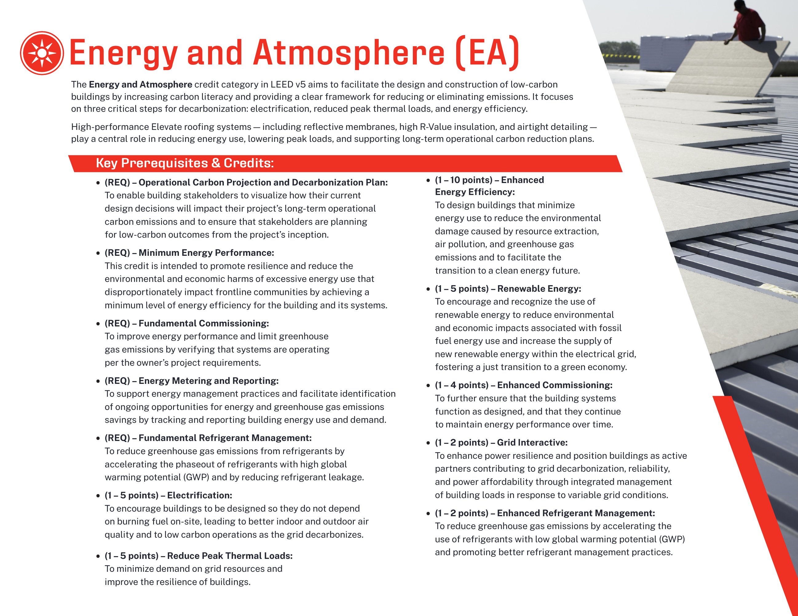 Catalog page image