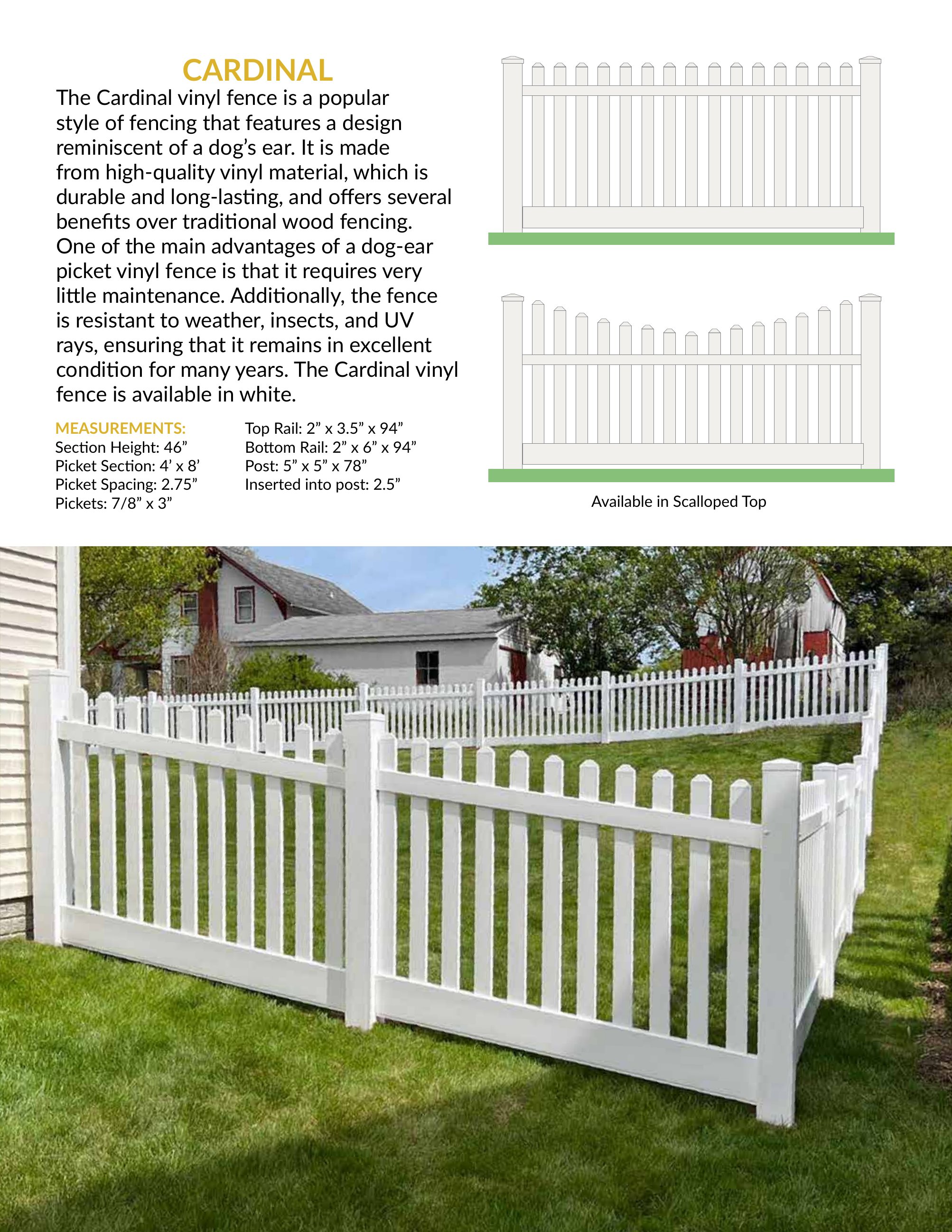 Catalog page image