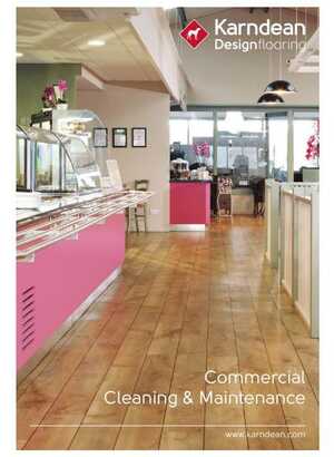 Commercial Cleaning & Maintenance