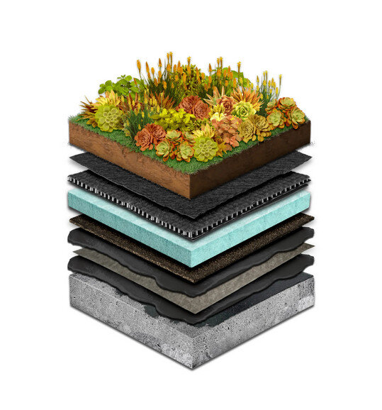 Roofscape® Sunray Sedum Mix Blanket