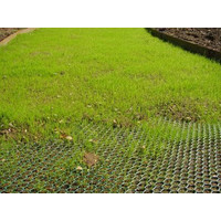 Turf Reinforcement Mesh image
