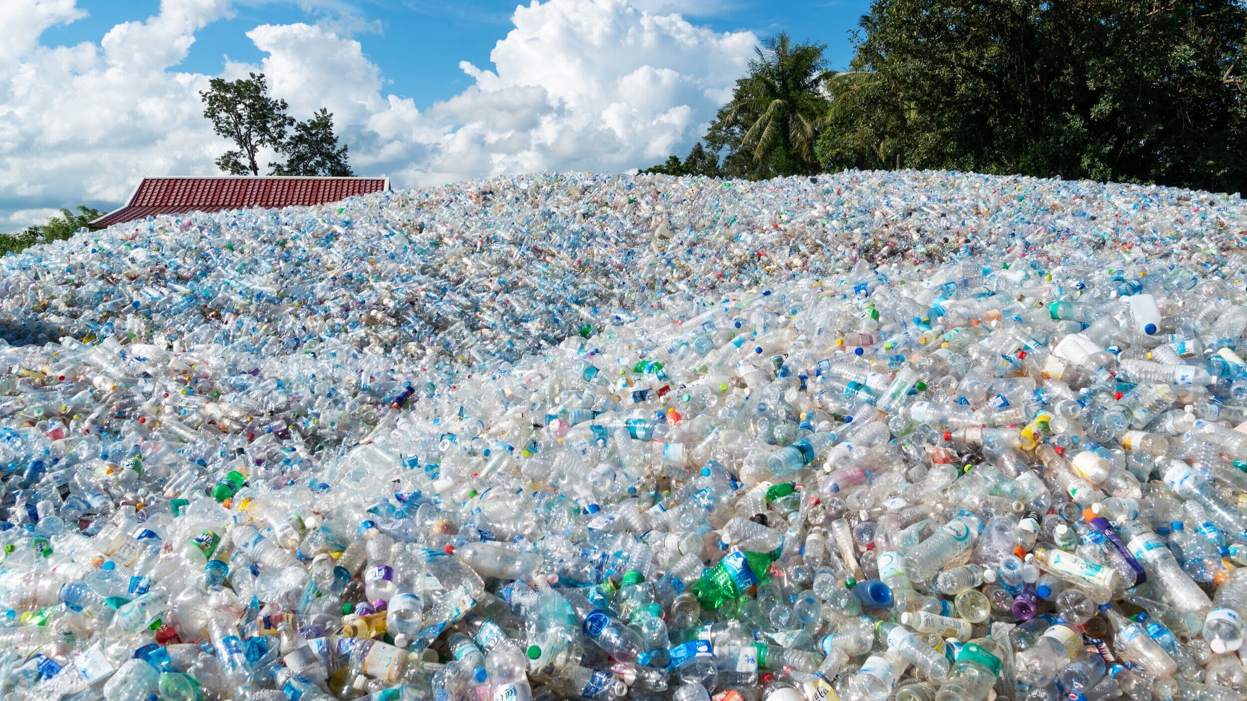 Positive Impact on the Environment.