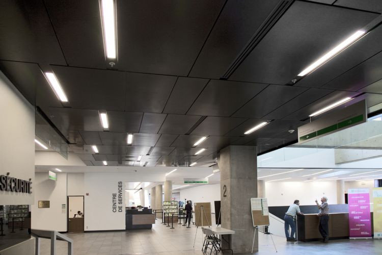 Acoustical Ceilings