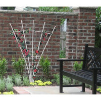 Vinyl Trellis image